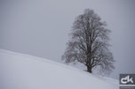 Januar