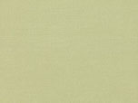 2494/250-lovage