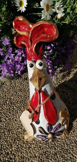 Isolde,34cm,5,4kg,€65