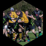 rigardo, rugby schaffhausen, gelb schwarz, bbc arena,