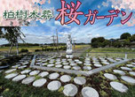 柏市樹木葬