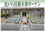 松戸市樹木葬