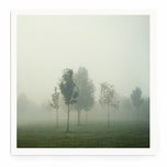 "Lonely Tree" Art Print von Lena Weisbek
