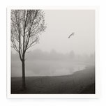 "Lonely Tree" Art Print von Lena Weisbek