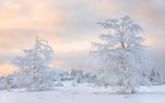 Germany: Winter