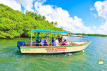Excursion mer avec Mantou Excursions Mangrove aux Trois-Ilets Martinique