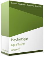 Seminar Agile Teams