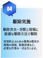 兵庫県,大阪府,京都府,奈良県,滋賀県の害獣・害虫駆除実施