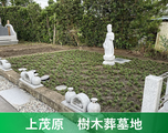 上茂原樹木葬