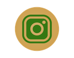 Seguici su Instagram