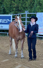 Showmanship at Halter