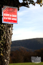 Promener chien chasse ; eduquer son chien ; eduquer un chien ; educateur canin ; comportementaliste canin ; accueillir chiot ; dresseur chien ; règlementation promenade en foret ; Doubs ; Baume les Dames ; Clerval
