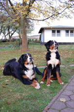 Goliath und Charlotte (2010)