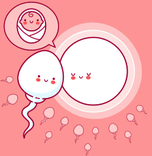 精子提供の実施