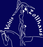 Voltis VS Zollhaus