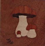 Magnet carré Champignons - 5x5