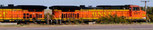 Train New Mexico