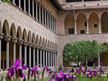 guia en Barcelona, barrio Gotico en Barcelona, tours por el barrio gotico  de Barcelona