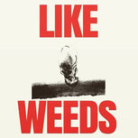 LIKE WEEDS