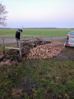 Neu angelegter Feldsteinhaufen (Foto: NABU Lindhorst/T. Huth)