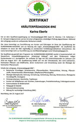 Zertifikat zur Kräuterpädagogin-BNE - Kräuterführungen, Kochkurse, etc