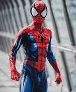 Anniversaire Spiderman à domicile