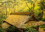 第17回「成田山公園紅葉まつり」