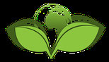 HS-Technik goes green