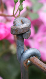 sehr stabiler Staudenhalter, auch für ganz nahe an eine Wand oder für steinigen Untergrund