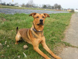 Wulff 012-130-070