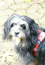 Romy 012-130-029