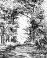 Vous inscrire au cours de Croquis de Jardin