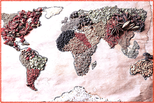 Traveling can boost weight lost
