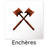 ventes aux enchères, ventes saisies, enchère lot-et-garonne, SCP Freche Morillon commissaire de justice