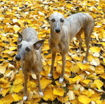 Lisa und Leo (rechts)