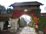 Friedhof Enzenbühl, Zürich, ein zentraler Schauplatz der Erzählung(Bild: staedte-fotos.de)