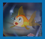 Mais ce n'est pas un poisson-clown le toby !