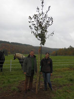 Pflanzaktion Baum des Jahres Trauben-Eiche