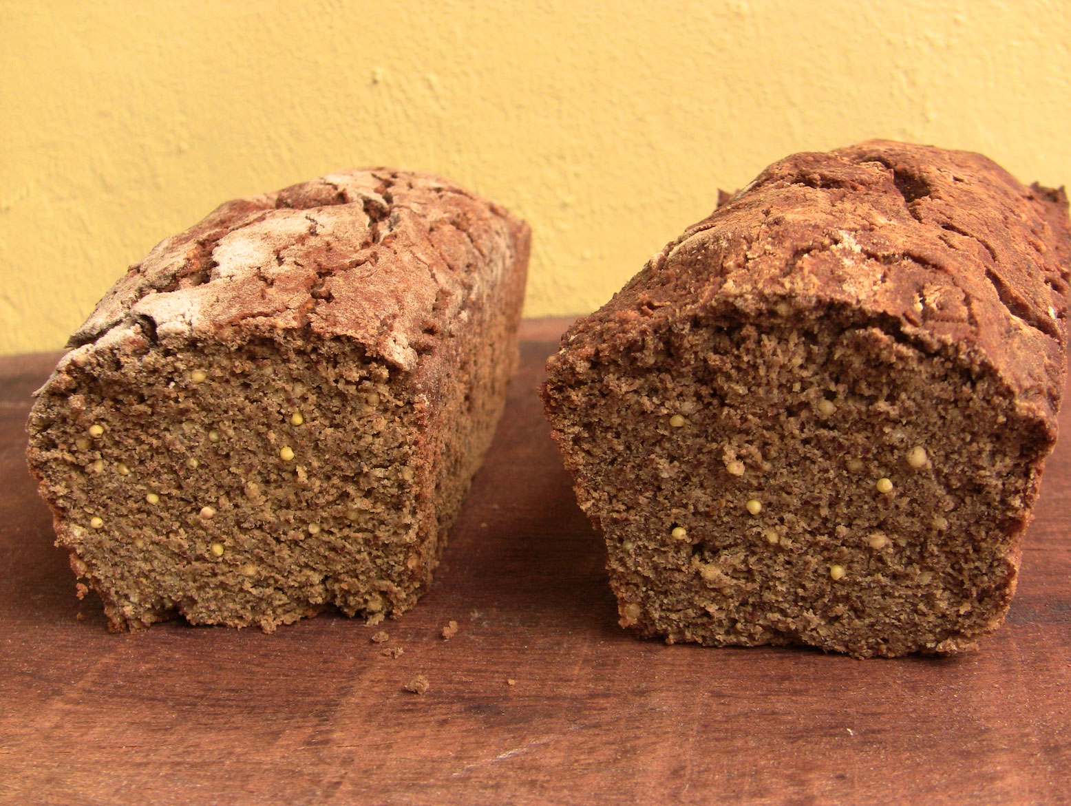 Pains au millet Terra Millet