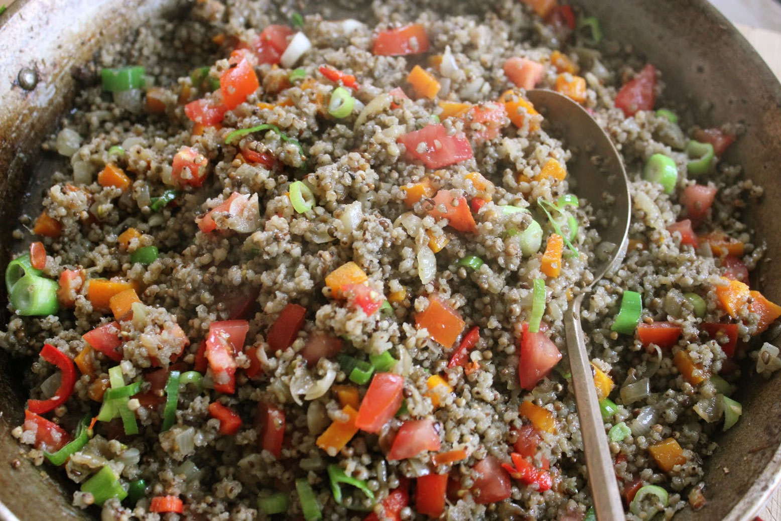 Recettes à partir de fonio Terra Millet