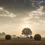 LANDSCHAFT