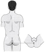 Fig. 1 - Point Hui Yin / Source : Dr Yang Jwing-Ming, Les racines du Chi-Kung