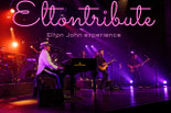  contact booking Elton john tribute band