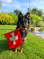 1.8.25 R.I.P Chuna wir werden dich nie vergessen.