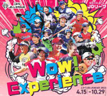 京都府懸賞-女子ソフトチケット-プレゼント
