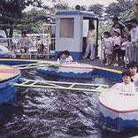 養老ランド　養老公園　岐阜　ちびっこ　遊園地