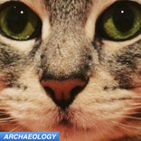 cats ancient DNA aDNA migration