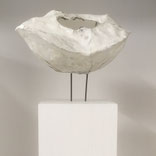 Giesch Susy