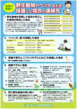 野生動物　連絡先
