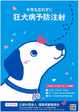 狂犬病予防注射